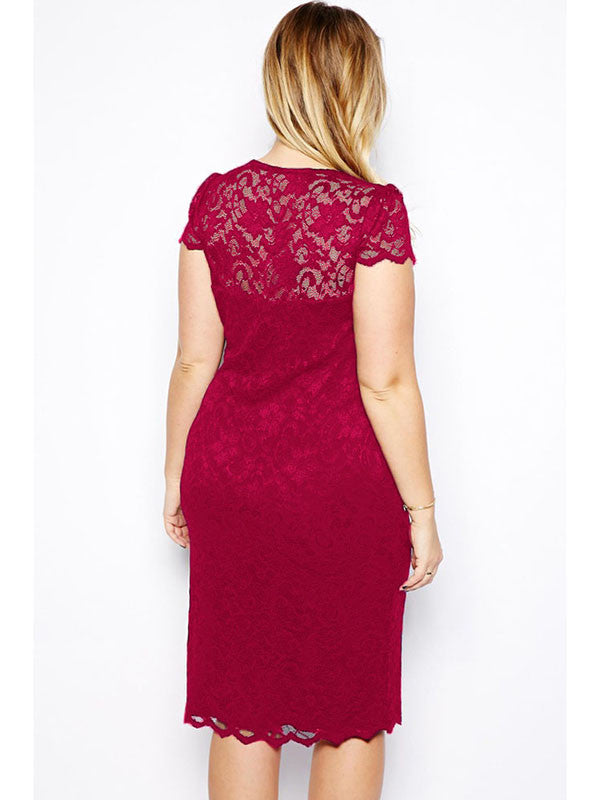 XL-3XL Wine Red Lace Women Clubwear Midi Dress - Sins & Temptations