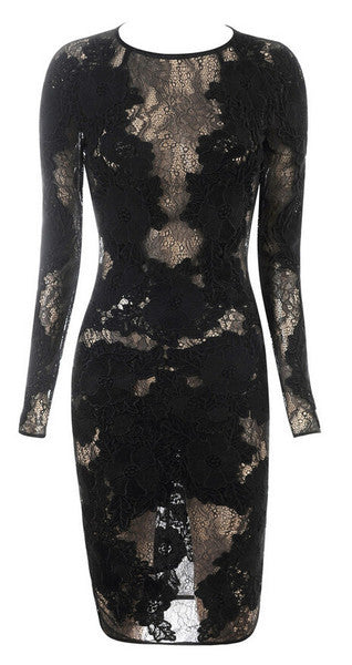 Long Sleeve Embroidered Lace Dress, Dare to Bare Bodycon Dress - Sins & Temptations