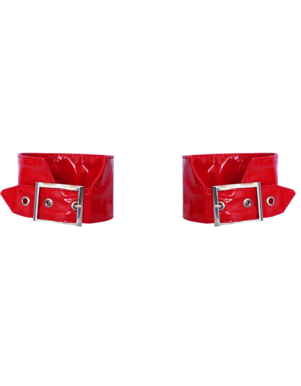 Mens Sexy Vinyl Lingerie Set - Sins & Temptations