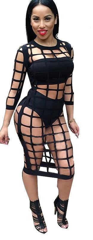 Partywear Mesh Women Bodycon Dress - Sins & Temptations