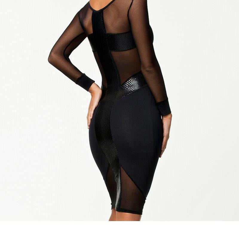 Hot Black Long Sleeve Vintage Dress Mesh Patchwork Knee Length Party Dress - Sins & Temptations